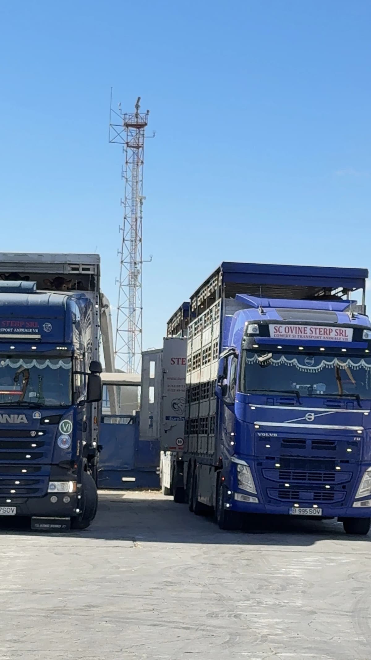 Port Midia gallery photo 14