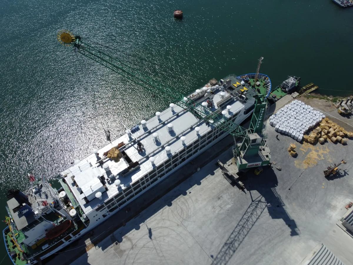 Livestock handling facilities