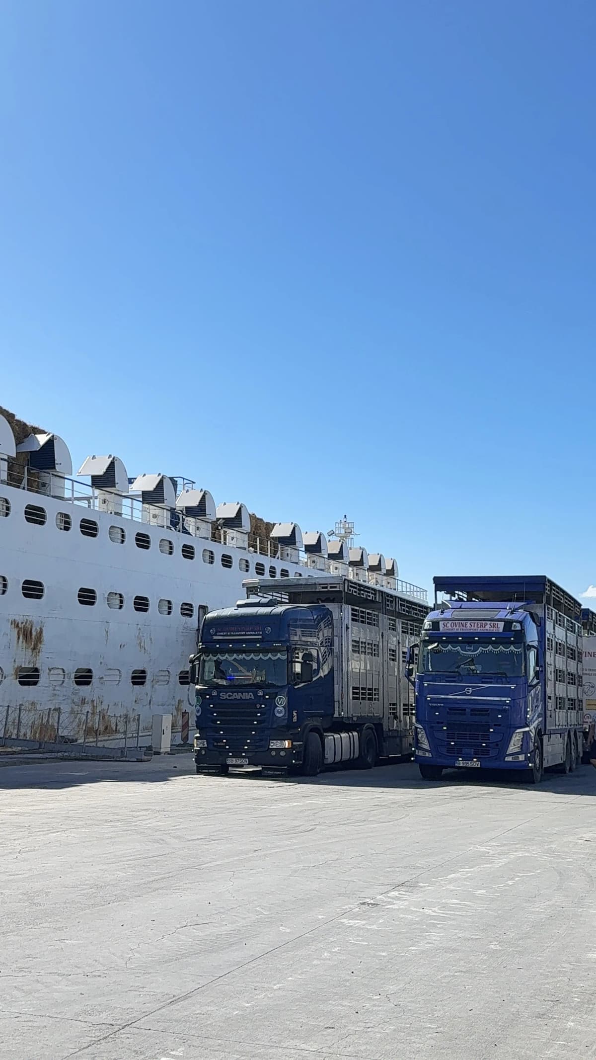 Port Midia gallery photo 30